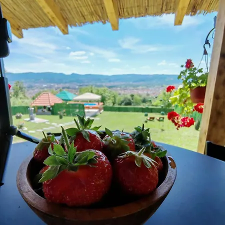 Villa Zatezica Vidikovac Čačak