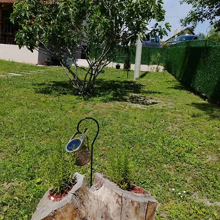 Zatezica Vidikovac 别墅 *