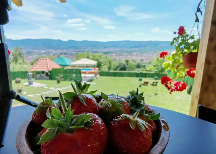 Villa Zatezica Vidikovac Čačak